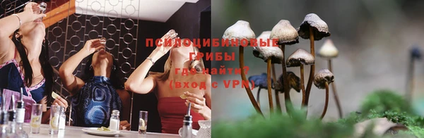 кокс Инсар