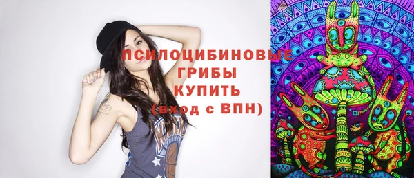 кокс Инсар